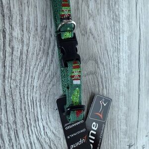 Lupine Pet Christmas Dog Collar Stocking Stuffer 8-12 Inch Small To Medium Dog